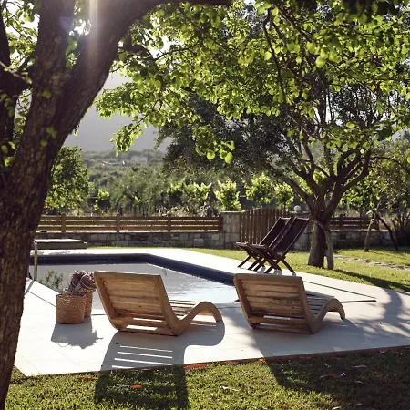 Leeda's * Λιθακιά